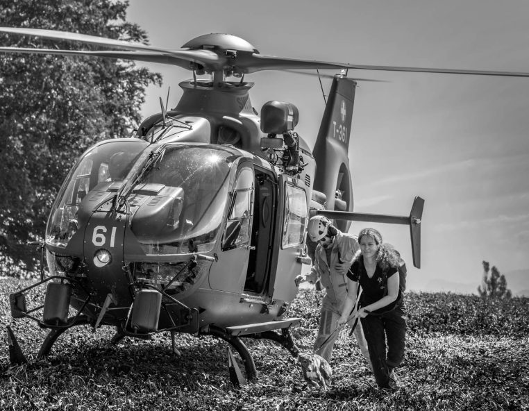 Homepage Helikopter Hug