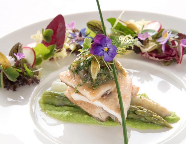 Foodbilder der Spitzenklasse